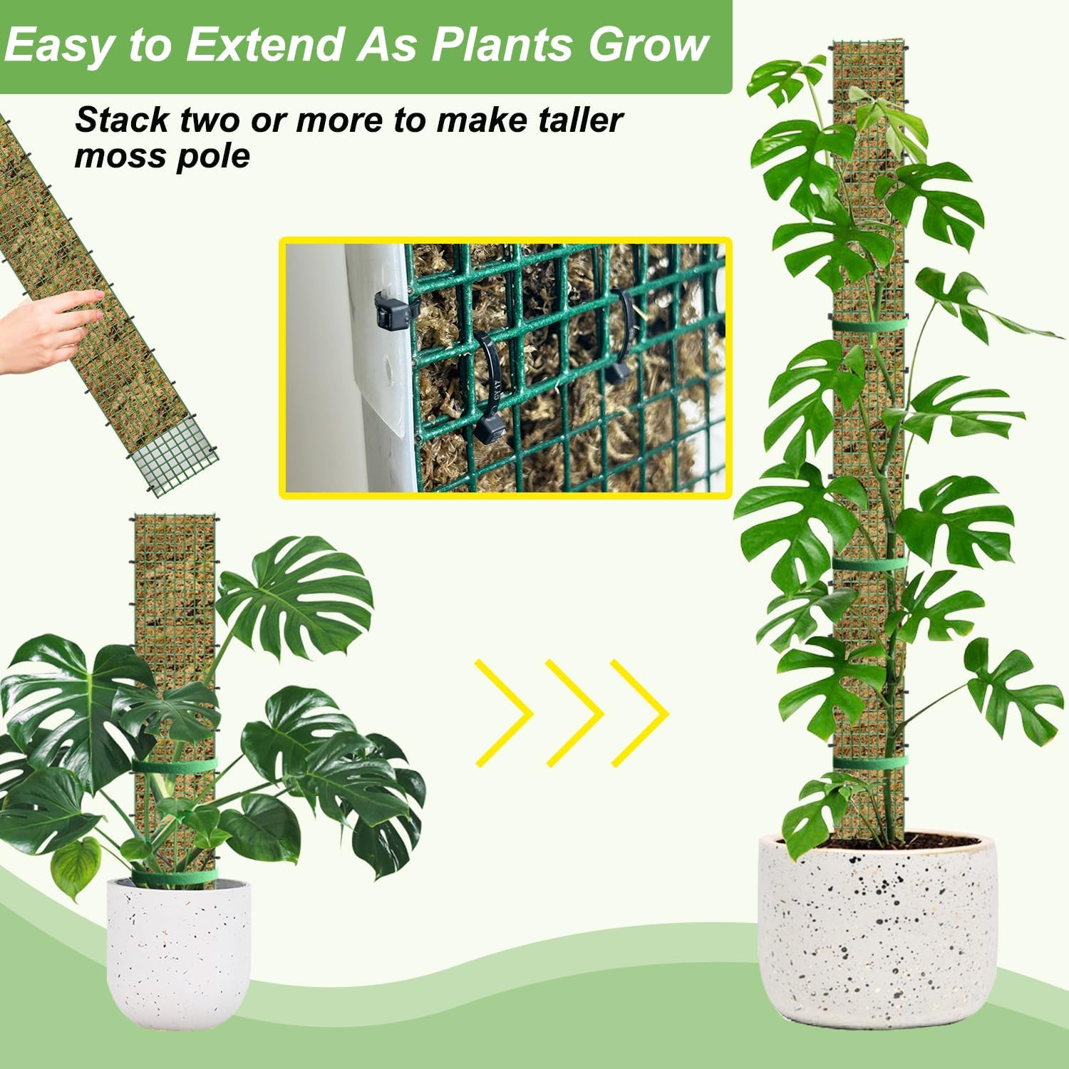 60"/40"/24" Metal Moss Pole, D Shape Sphagnum Moss Pole, Moss Poles for Climbing Plants, Monstera, Indoor Climbing