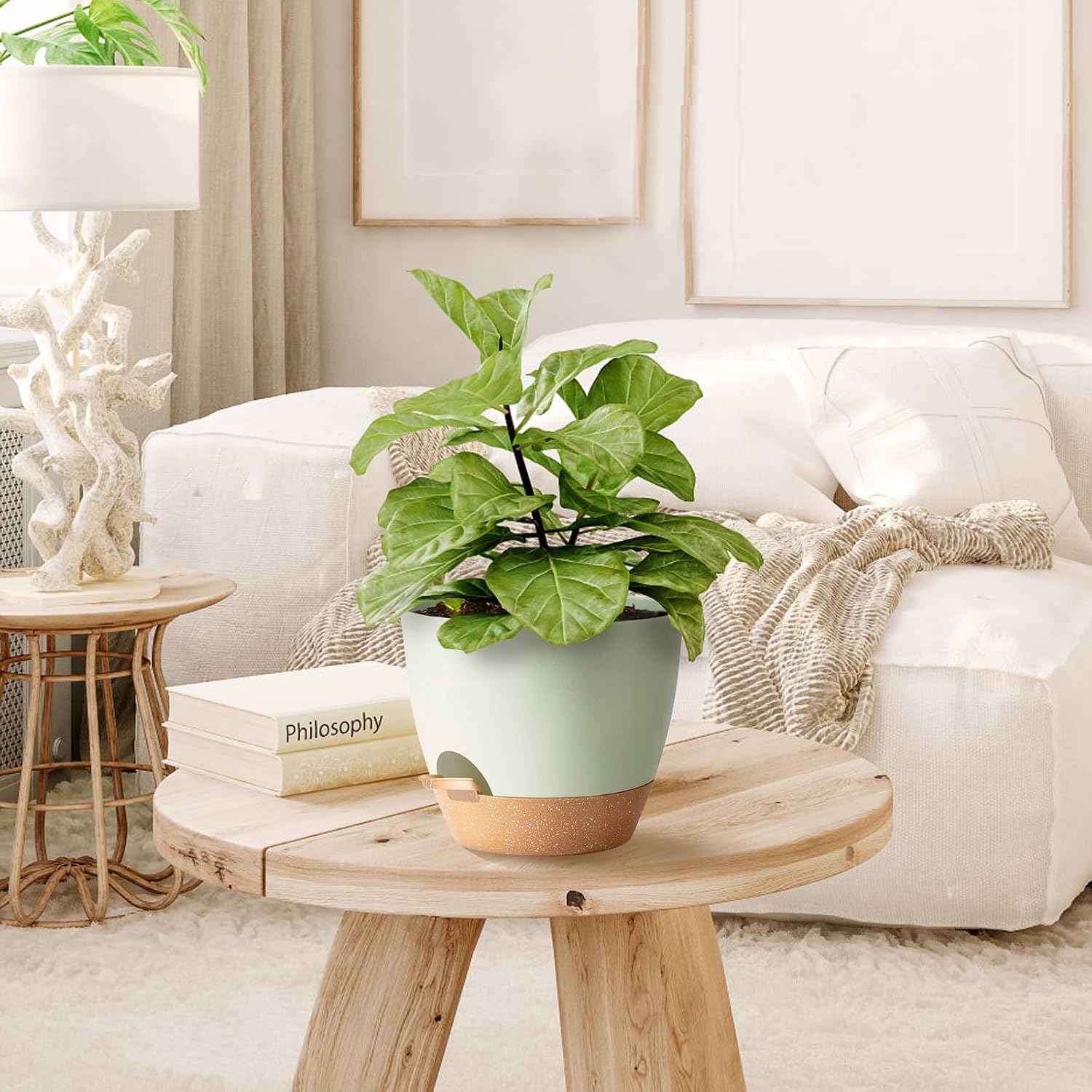 Self Watering Plant Pot with Drainage Hole,Plant Pots Outdoor Flower Pots for Indoor Plants,Modern Green Plastic Self