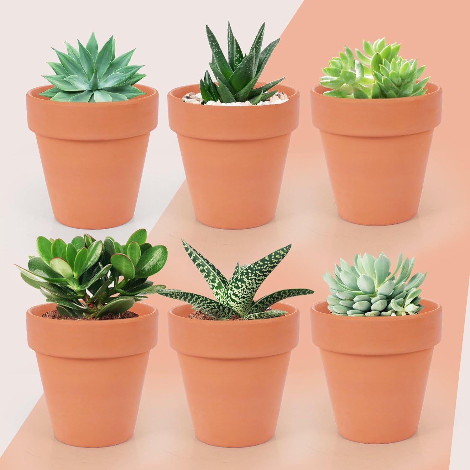 26 Pack Terra Cotta, 3inch Small Clay Flowerpots with Drainage Hole, Terracotta Pot for Indoor Outdoor Plant, Great for