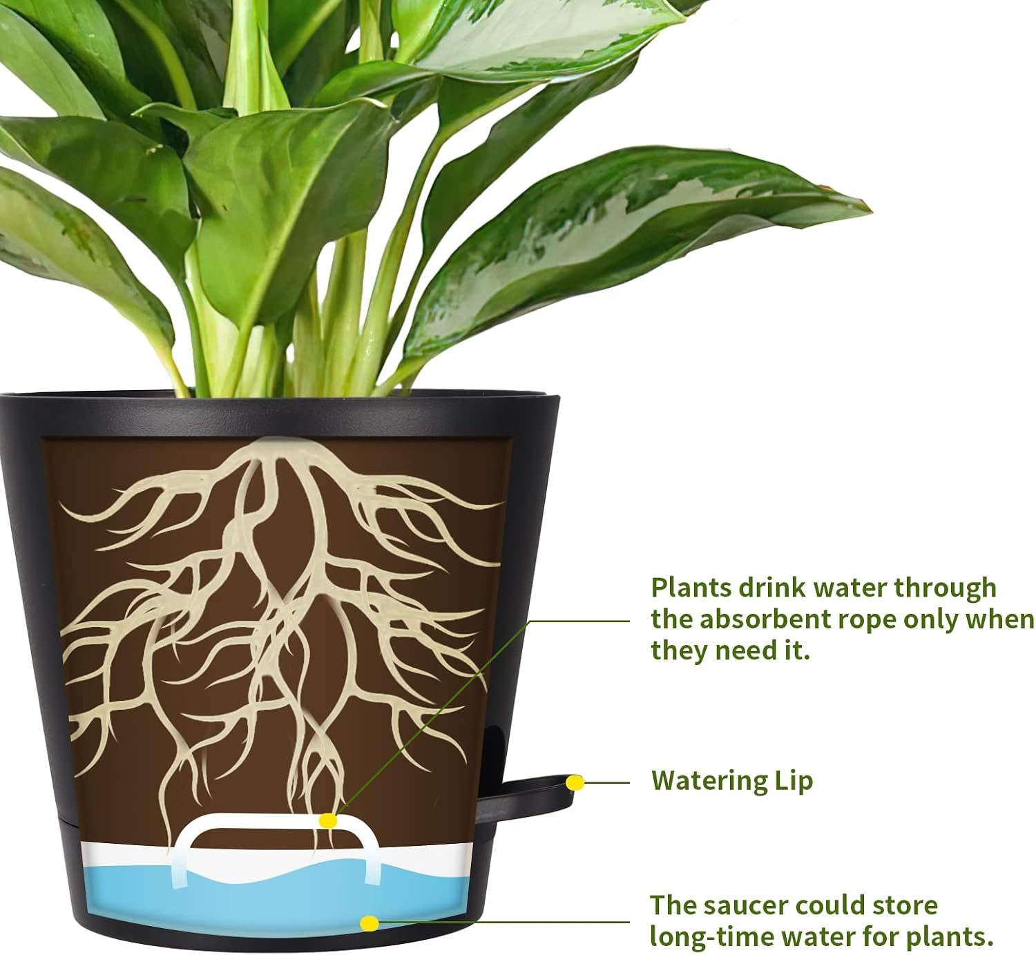 8 Inch Self Watering pots for Indoor, 6 Pack Plastic Plant Pots with Drainage Holes, Black