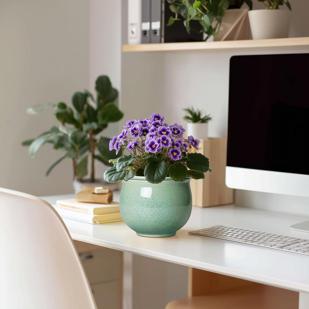 Ceramic Self Watering Pots, 6 Inch African Violet Pots with Absorbent Inner Pot, Round Self Watering Planter for Indoor