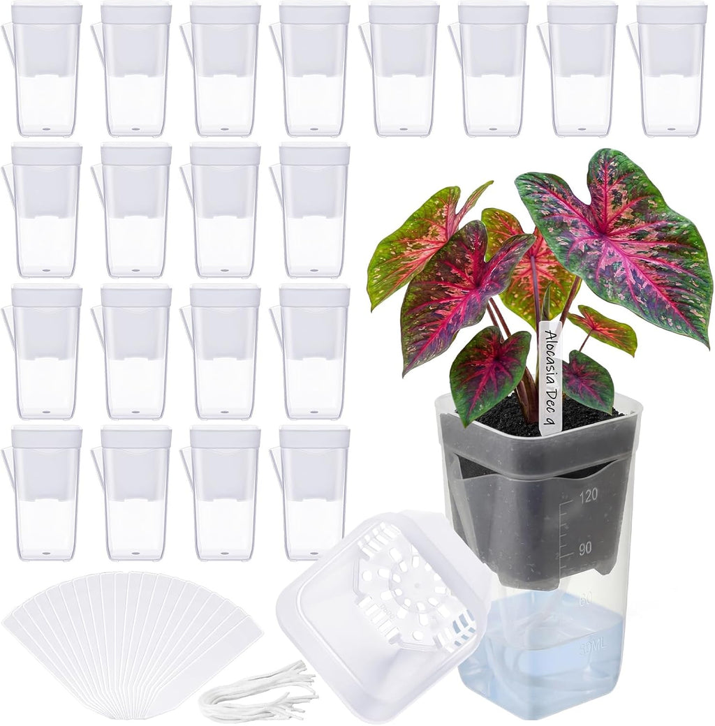 LemonRoad 20 Pack 2" Small Self Watering Pots for Indoor Plants | with 20 Plant Label, Mini Clear Plastic Planters with