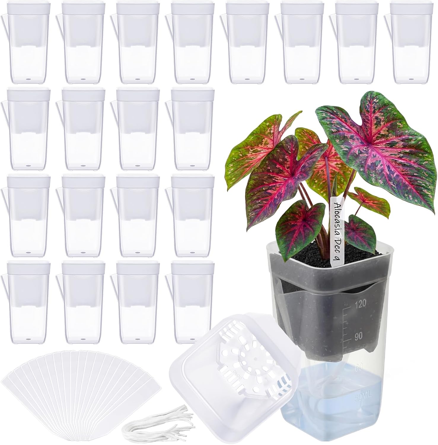 LemonRoad 20 Pack 2" Small Self Watering Pots for Indoor Plants | with 20 Plant Label, Mini Clear Plastic Planters with