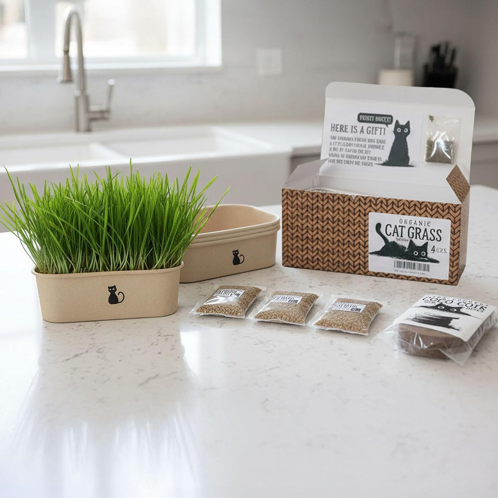 Cat Grass Grow Kit — 4-Batch Indoor Growing Set with Containers, Soil Disks & Seeds | Supports Digestion & Hairball