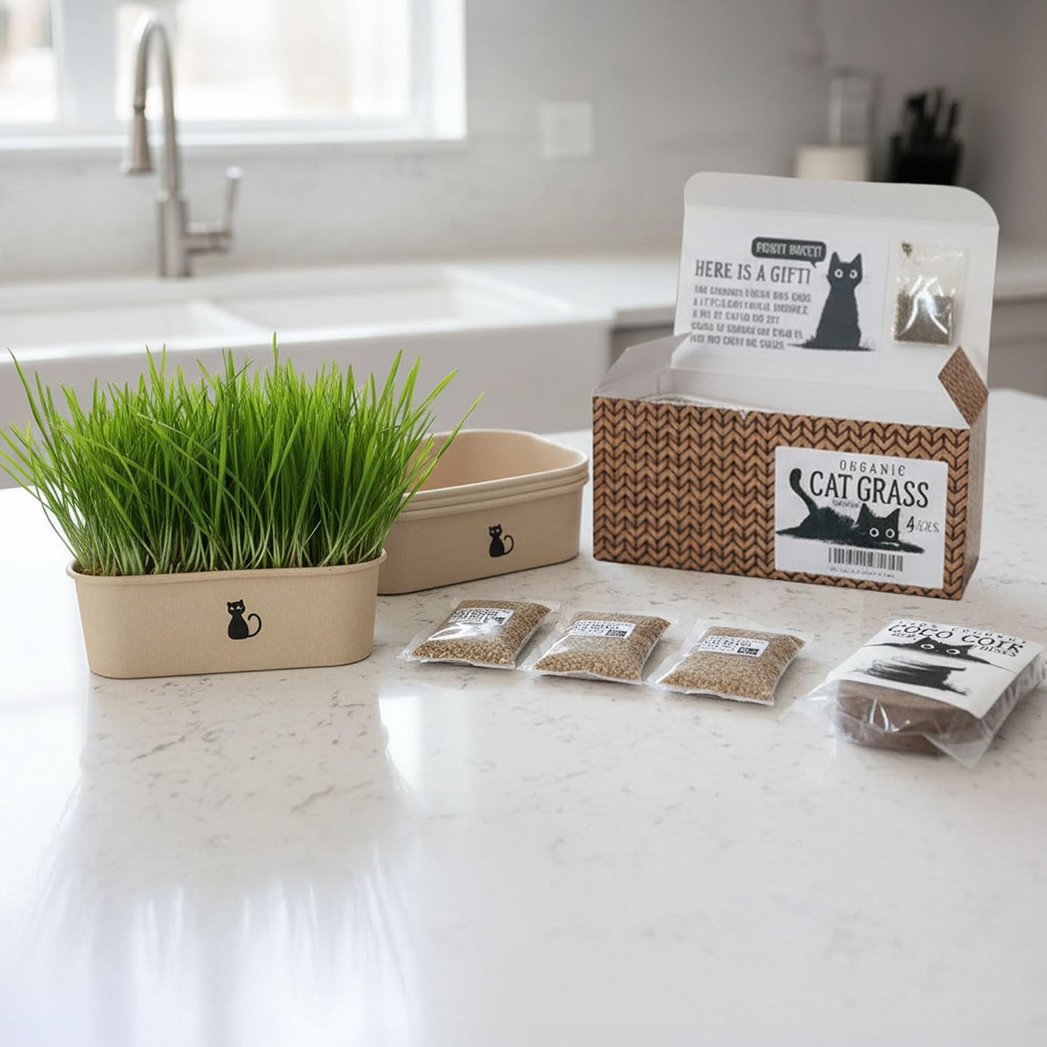 Cat Grass Grow Kit — 4-Batch Indoor Growing Set with Containers, Soil Disks & Seeds | Supports Digestion & Hairball