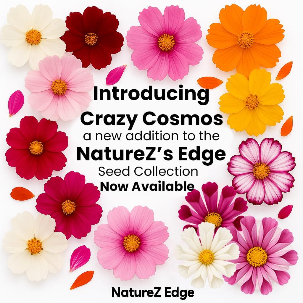 NatureZ Edge, Crazy Cosmos Seeds for 2026, 17,100 Cosmos Seed, 1/4 lb, Made In USA, Annual Cut Flowers, Wildflower