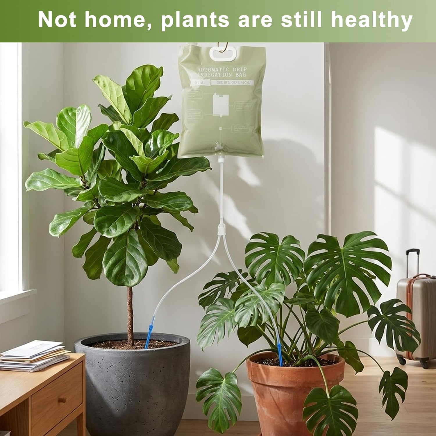 3 Pcs Plant Self Watering Device,6.5L Automatic Vacation Plant Waterer Bag | self watering system w/2 Adjustable