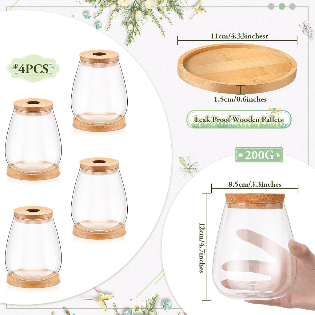 Nuanchu 4 Pcs Desktop Plant Terrarium Plant Propagation Vase Propagation Jars Glass Containers Air Planter Water