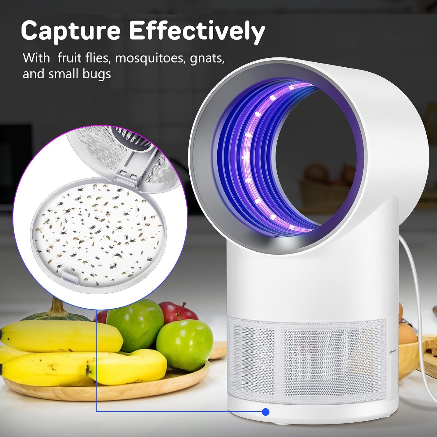 Fly Trap Indoor,White Gnat Traps House Indoor,Timed Indoor Insect Trap | Fruit Fly Trap Indoors Suctions & Captures
