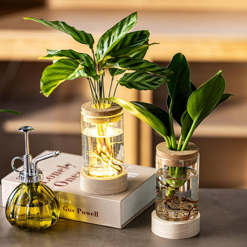 Glass Plant Propagation Stations, Propagation Vases for Plants with Ambient Light Base, Hydroponic Vase for Home &