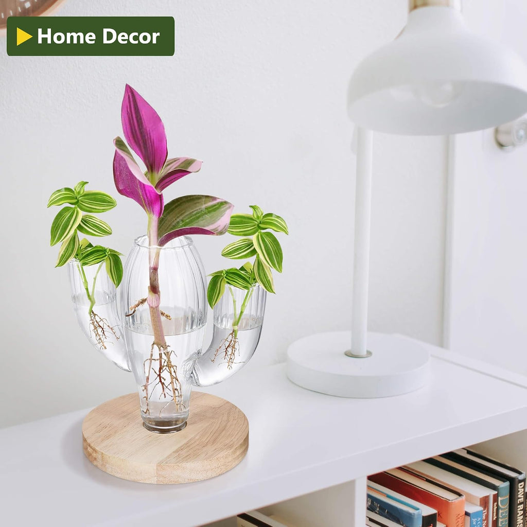 Plant Propagation Stations, Unique Cactus-Shaped Plant Propagating Vase, 3 Independent Areas for Various Plants