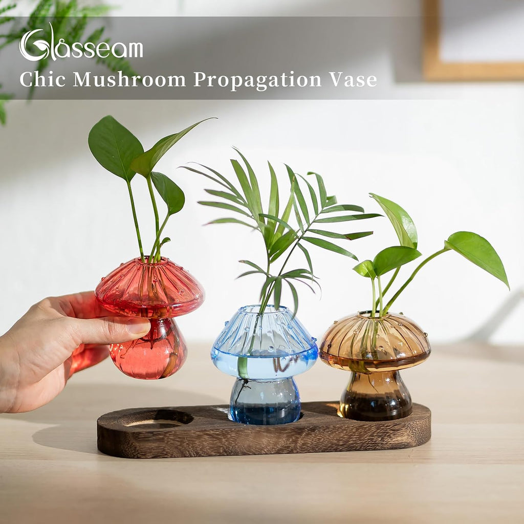 Glasseam 3Pcs Mushroom Propagation Station: Glass Terrarium Jar for Plants | With Wood Stand, Colorful Handmade