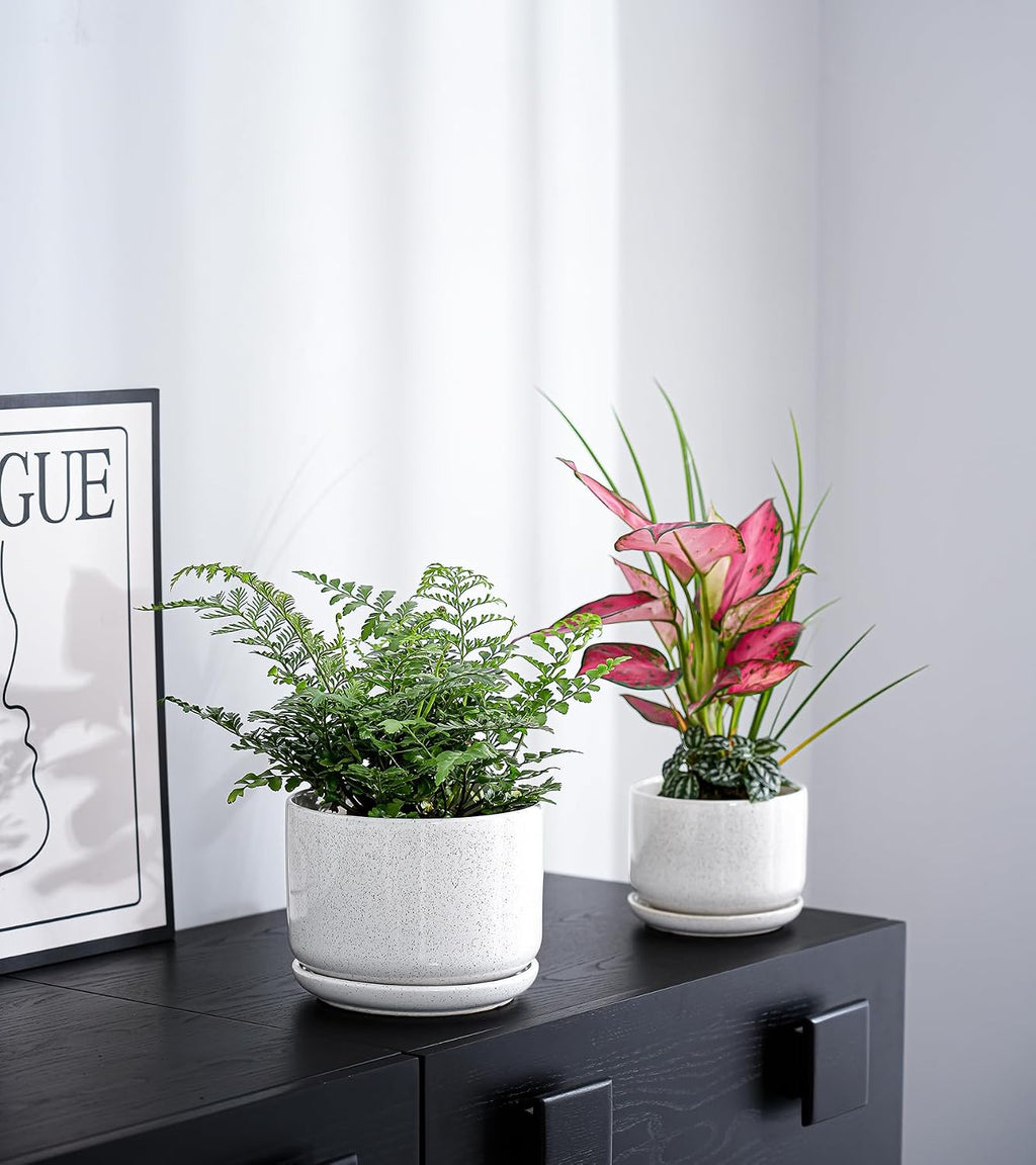 Ceramic Planters,Plant Pots with Saucers Set of 3(Reactive Glaze White) | Colorful Ceramic Planters for Indoor Plants