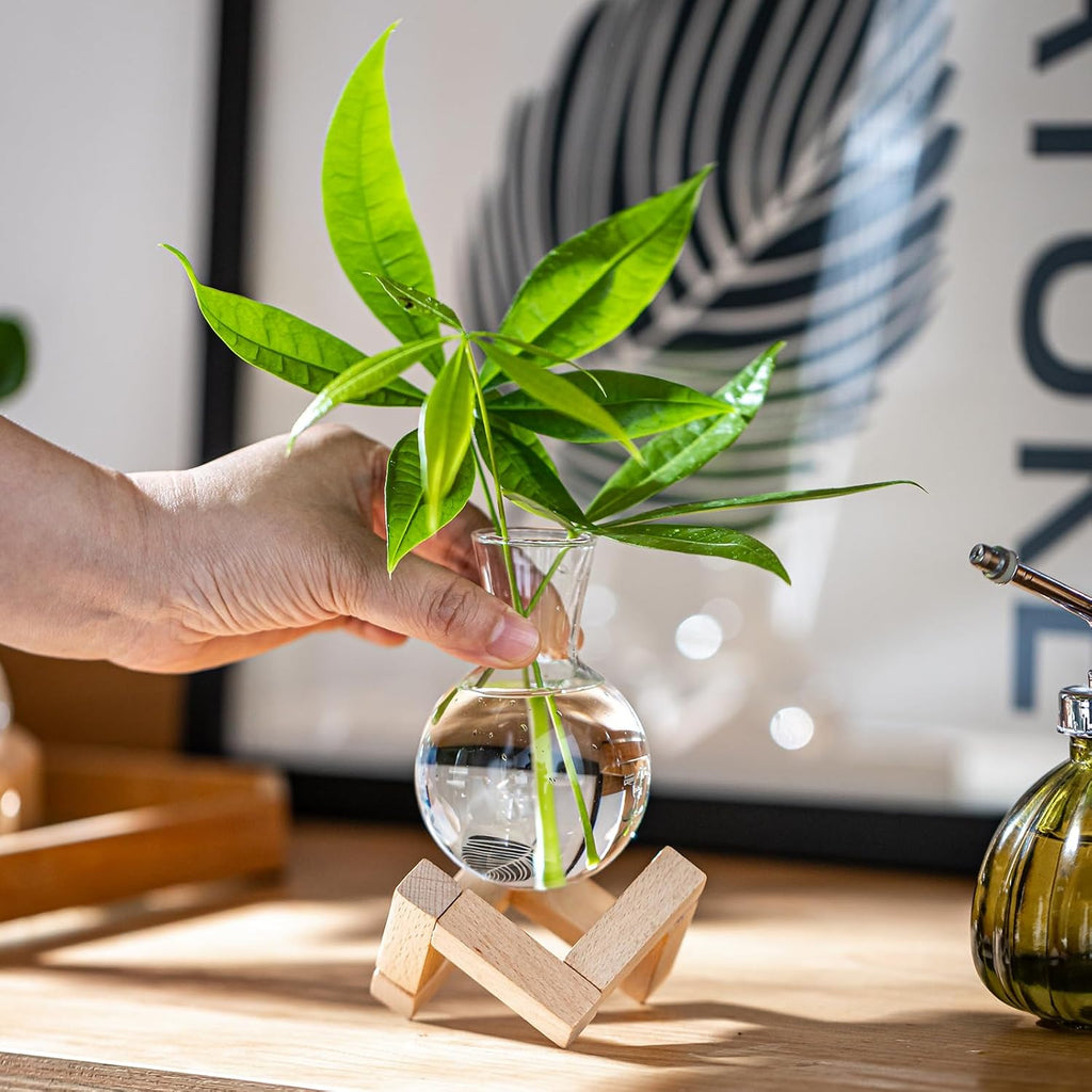 Propagation Stations, Propagation vases with Wooden Stand, Small Tabletop Glass Bulb Vases for Hydroponics Plant