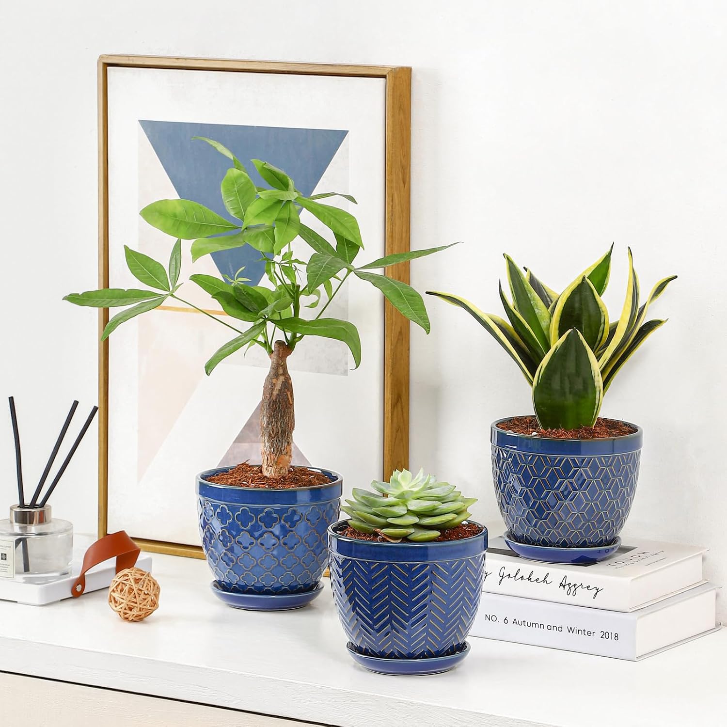 Sureasy Ceramic Indoor Plant Pots - 5.6 Inch Flower Pots for Plants with Drainage Hole and Saucer, Embossed Planter for