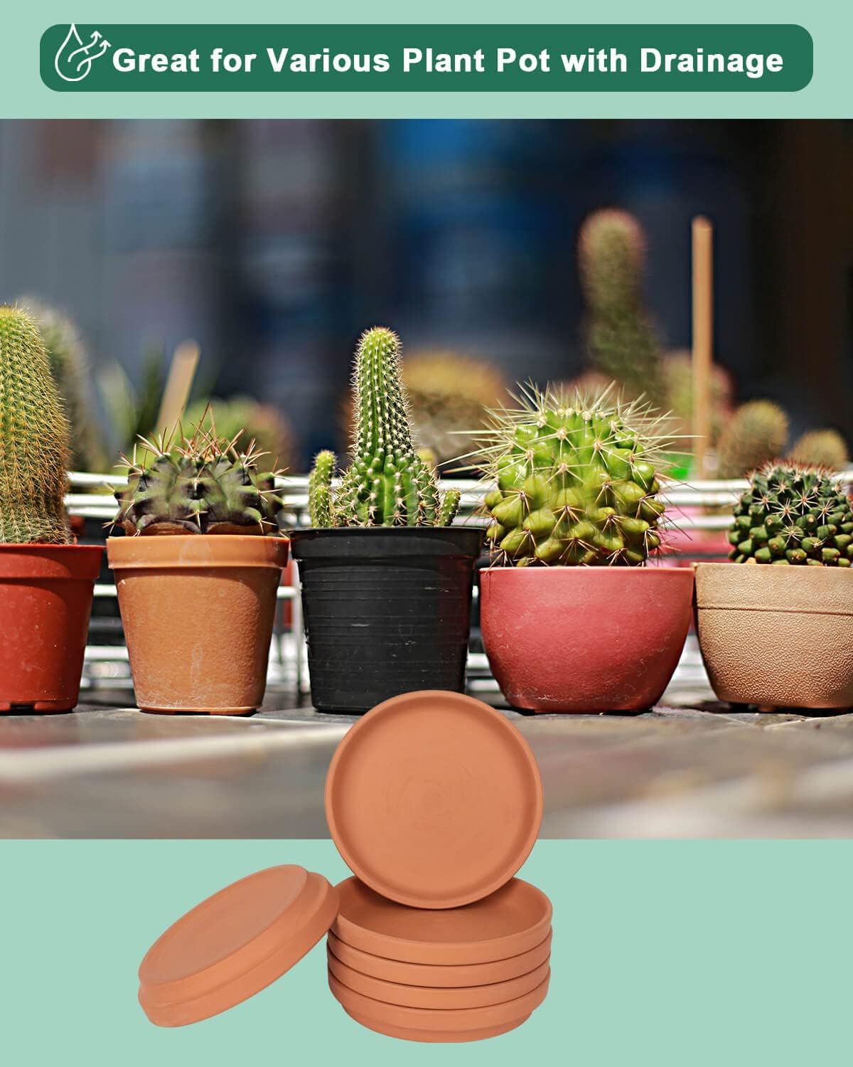 6 Inch Terracotta Plant Saucers, 6 Pack Small Clay Trays for Pots | 6 pack small terracotta planter saucers for 6 and
