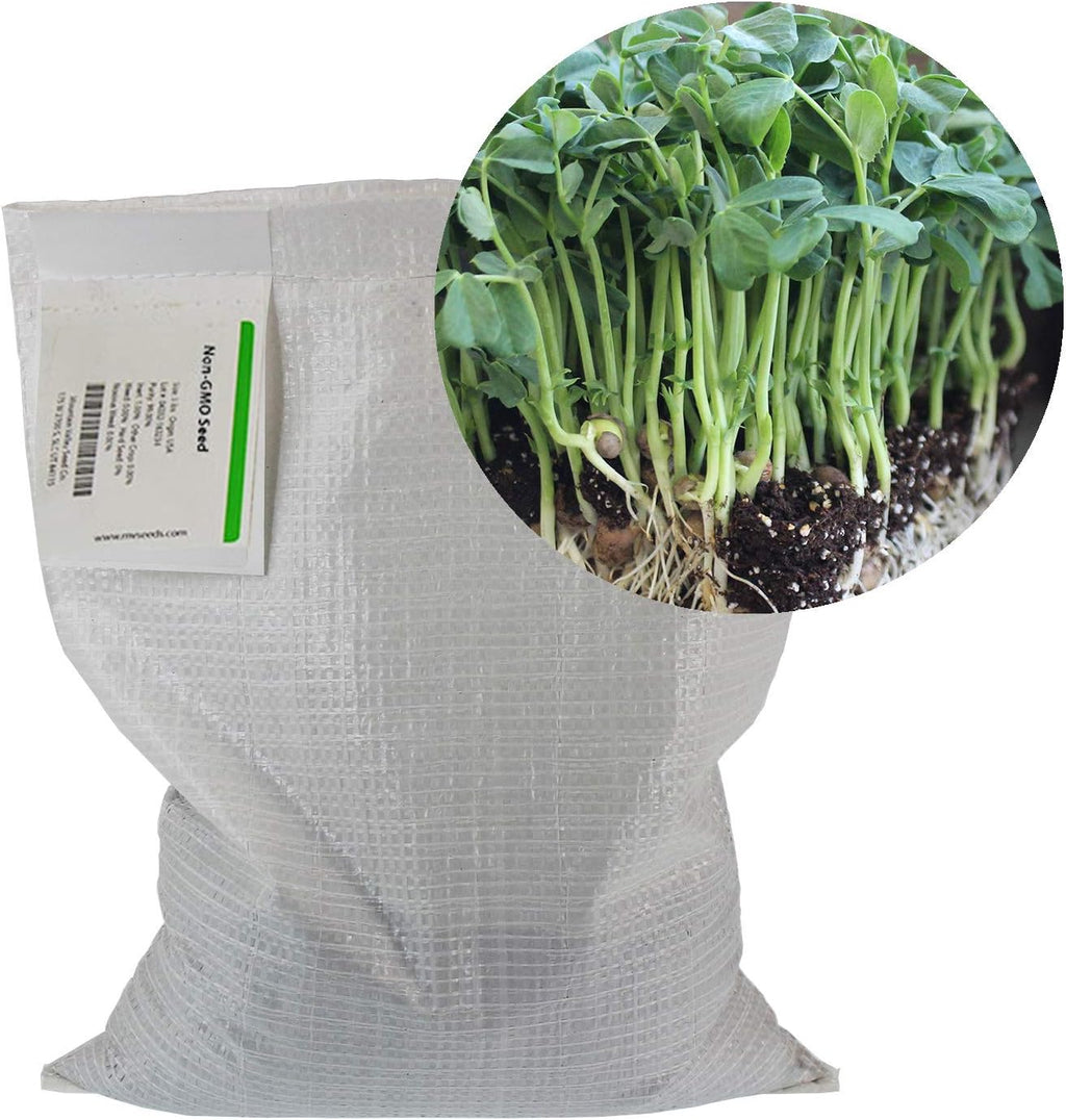 Mountain Valley Seed Co Speckled Pea Sprouting Seeds - 25 Lbs - Certified | Organic, Non-GMO Green Pea Sprout Seeds