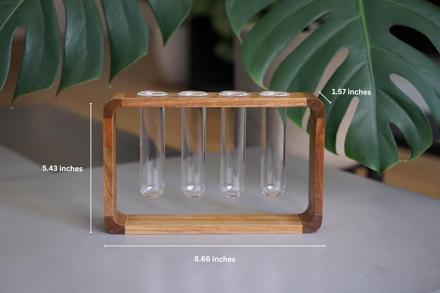 Source & Plot Plant Propagation Station - Acacia Wood Stand with 4 Glass Test Tubes, Tabletop Hydroponic Terrarium