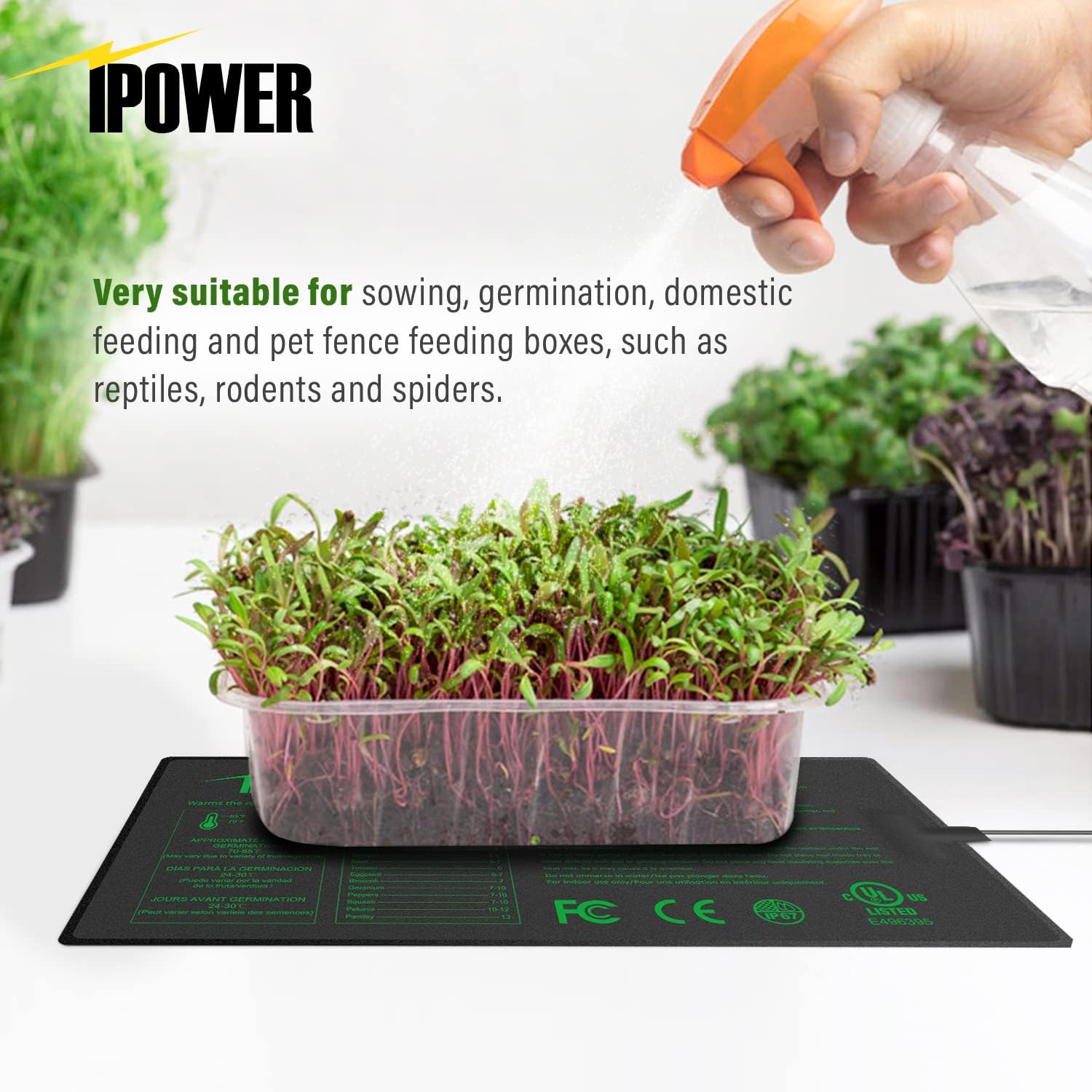 iPower Digital Heat Mat Thermostat Controller and 10" x 20.75" Carbon Film Seeding Warm Hydroponic Pad with Temperature