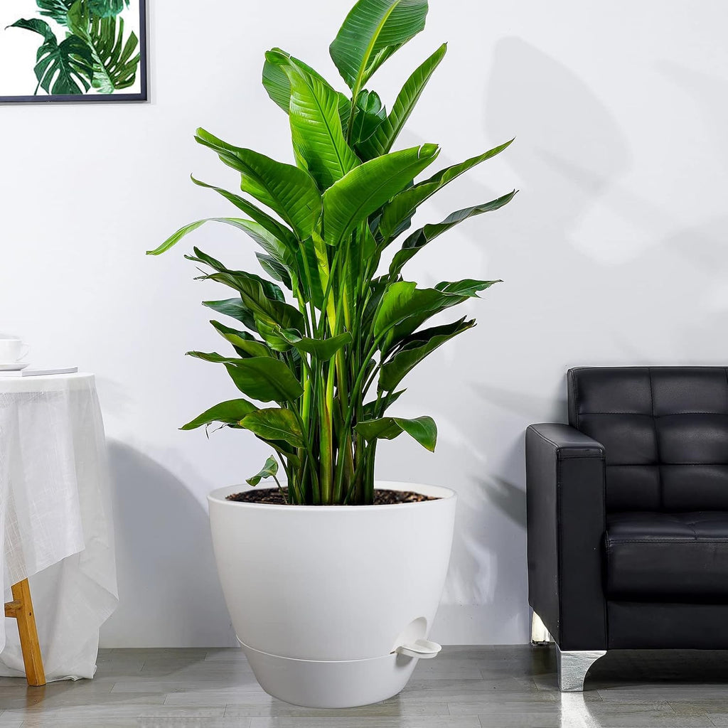 UOUZ 12inch Self Watering Pots, Plastic Planters with Mesh Drainage Holes and Deep Reservoir for Indoor Outdoor Garden