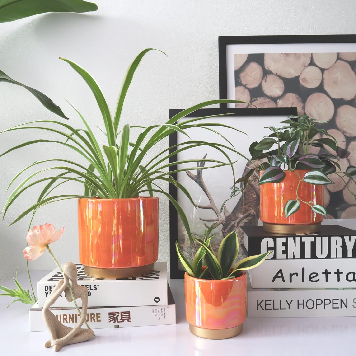 Gepege Ceramic Plant Pots for Indoor Plants, Planters with Drainage Holes | Ceramic Pots with Removable Rubber