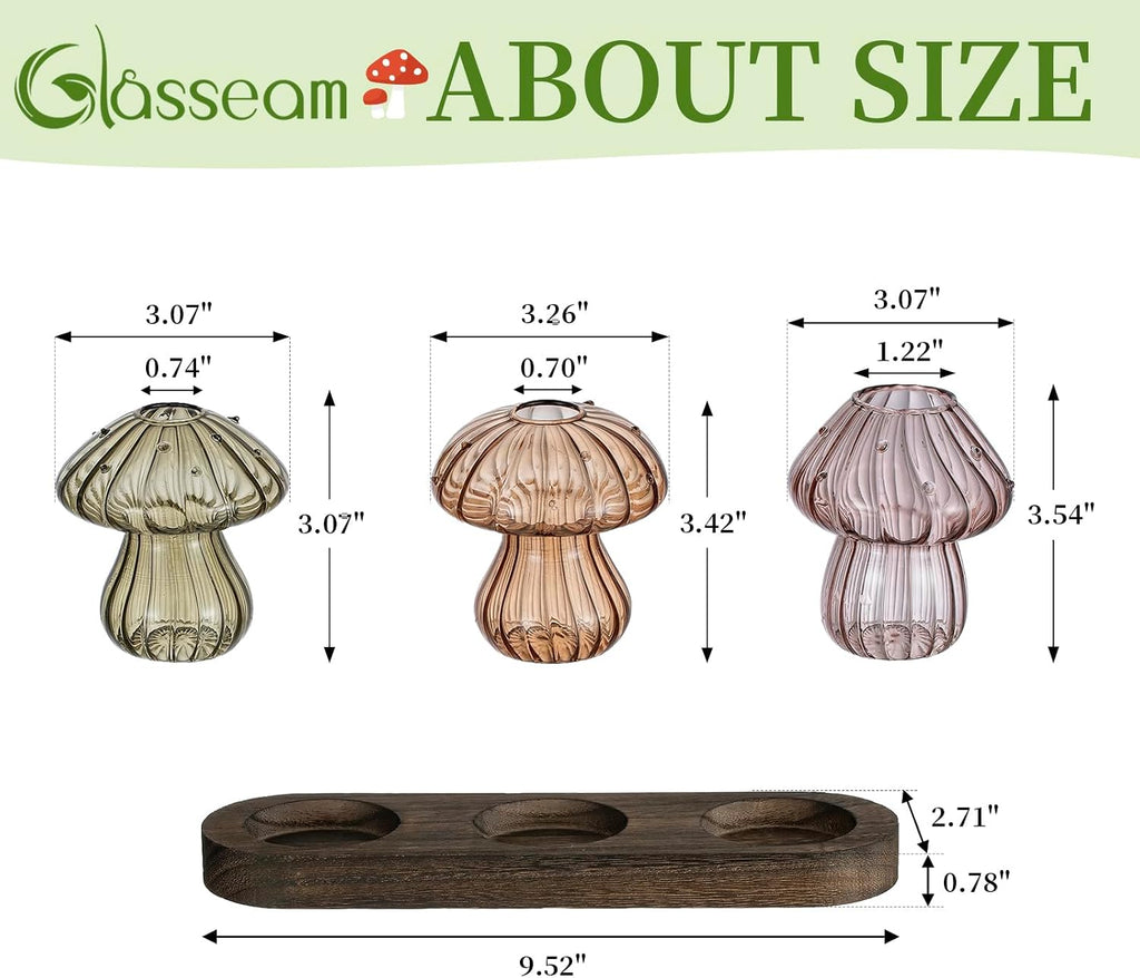 Glasseam Mushroom Plant Propagation Station: 3 Pcs Glass Terrarium Jar | Handmade Small Hydroponic Planter with Wood