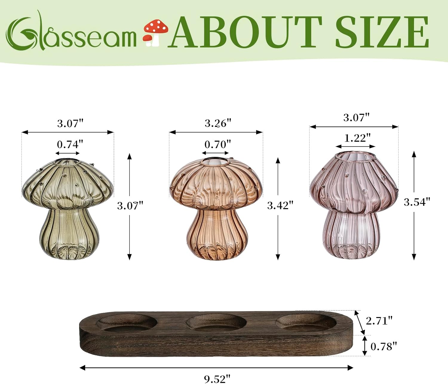 Glasseam Mushroom Plant Propagation Station: 3 Pcs Glass Terrarium Jar | Handmade Small Hydroponic Planter with Wood