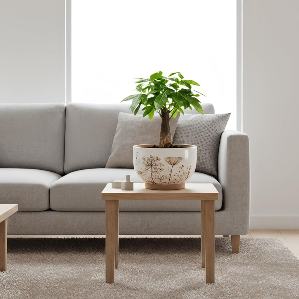 Terracotta Pots, 8+6 Inch Plant Pots, 2 Pcs with Drainage Holes | White & terracotta ceramic planters with botanical