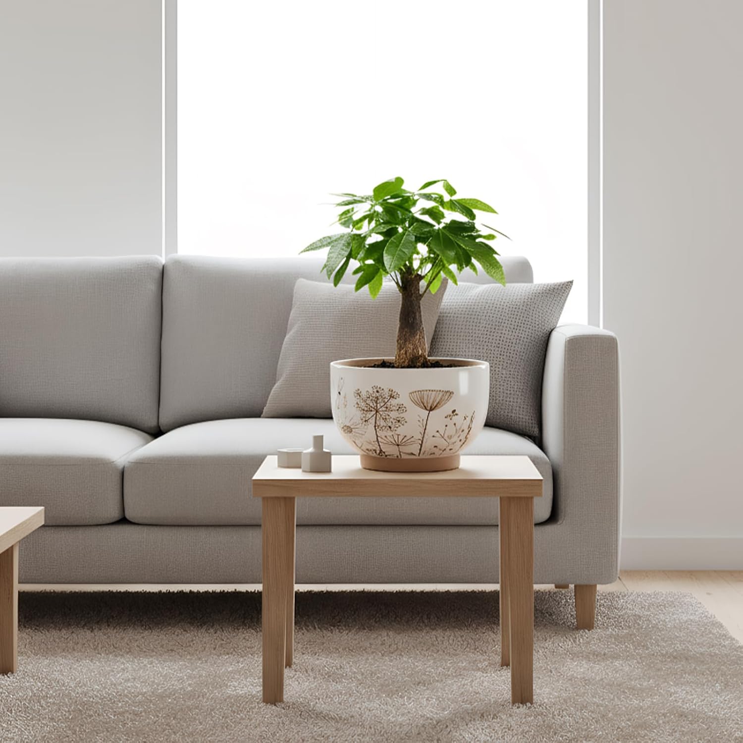 Terracotta Pots, 8+6 Inch Plant Pots, 2 Pcs with Drainage Holes | White & terracotta ceramic planters with botanical