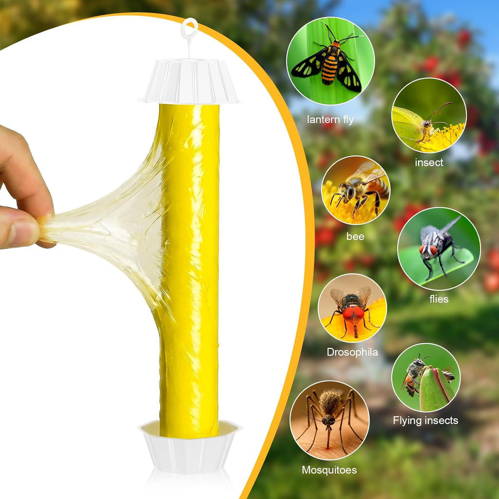 6 Pcs Fly Traps for Indoor Outdoor Hanging Fruit Fly Stick Trap Sticky Mosquito for Home Insect 10 x 2.5 Inches