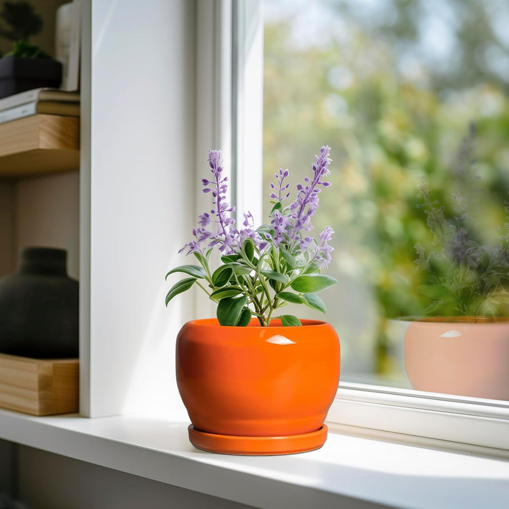 SQOWL Ceramic Plants Pots - 6 Inch Planter Indoor with Drainage Hole and Plant Saucer, Modern Round Planter Outdoor