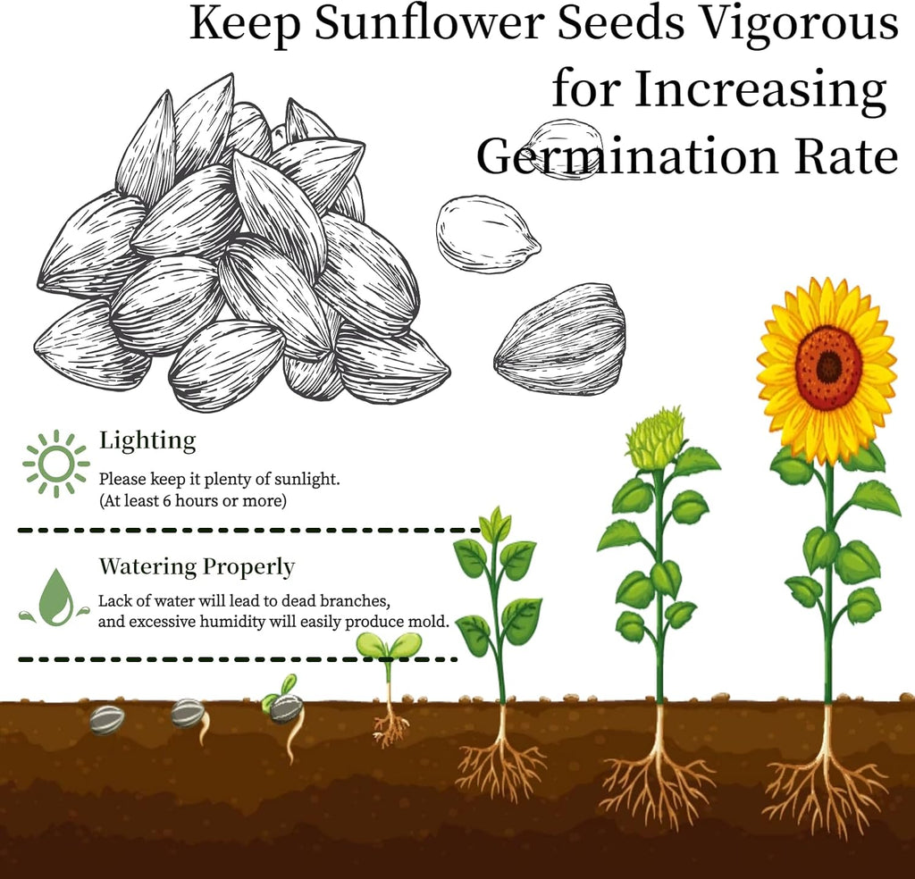 Flower Growing Kits, Windowsill Planting Kit with Planting Bags, Coir Soil & Tools Indoor Gardening Starter Kit with