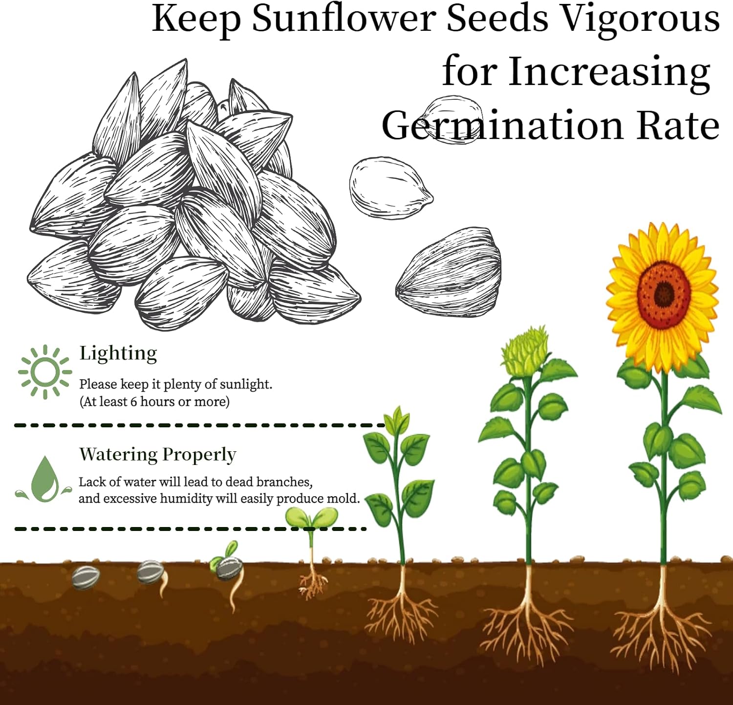 Flower Growing Kits, Windowsill Planting Kit with Planting Bags, Coir Soil & Tools Indoor Gardening Starter Kit with