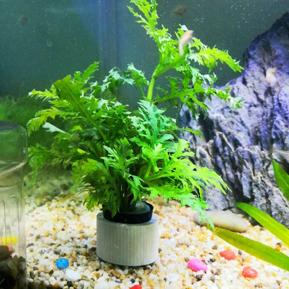 balacoo 10 Sets Aquarium Planting Rings and Cottons Fish Tank Planting Cups Hydroponic Bucket Water Tank Plants Fixed