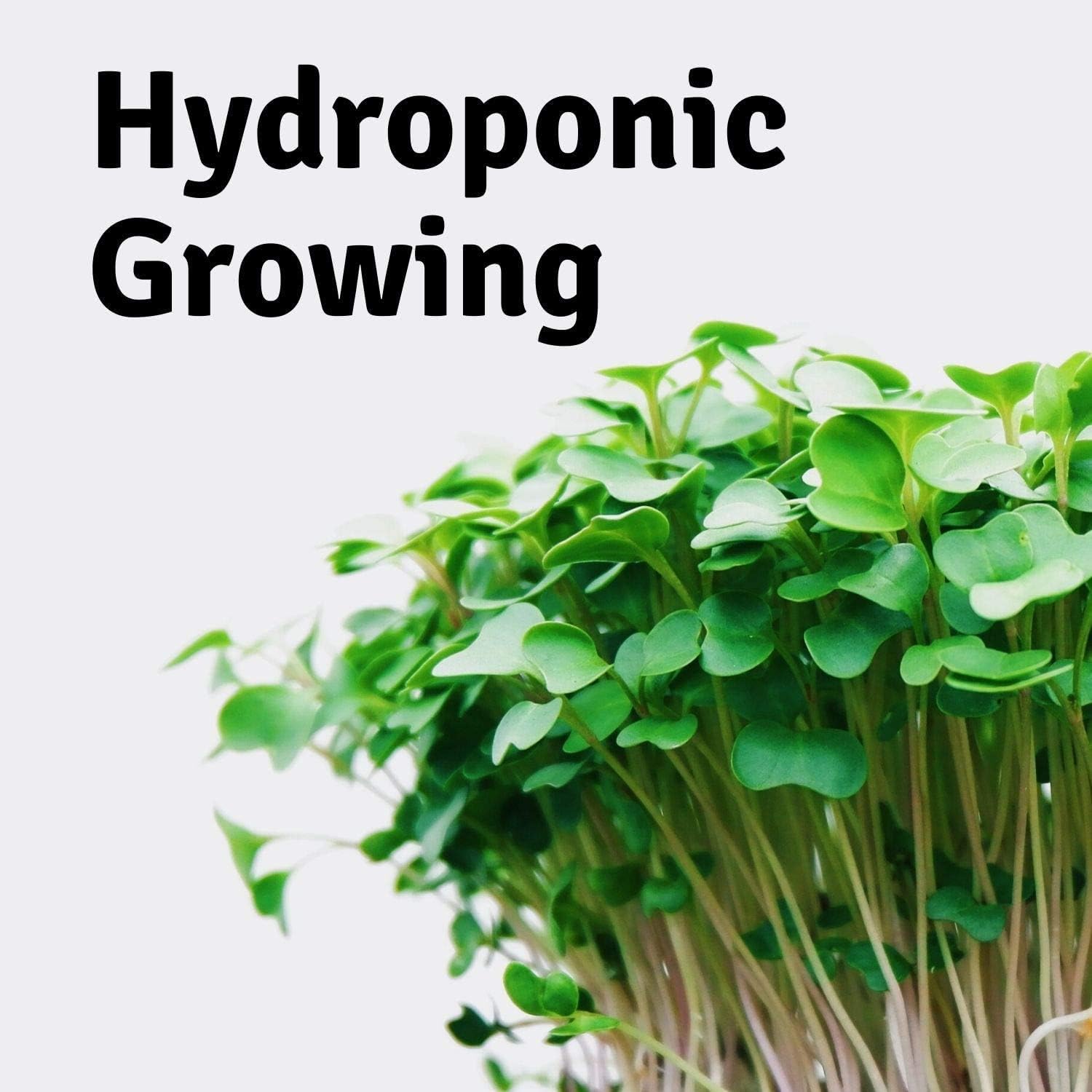 Handy Pantry Micro-Mat Minis Hydroponic Grow Pads - for Organic Production | Plant & Seed Germination: Wheatgrass