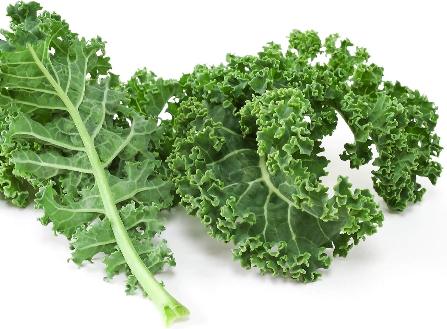 Mountain Valley Seed Co Kale Garden Seeds Vates Blue Scotch Curled 1 Lb | Non-GMO - Heirloom- Vegetable Gardening &