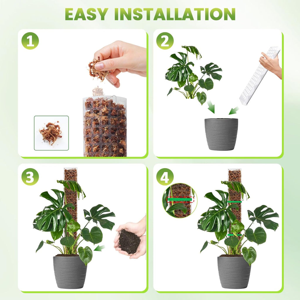 EOX Plastic Moss Pole for Monstera and Climbing Plants, 24-Inch, 8-Pack | Clear D-Shaped Design, Fold-to-Assemble