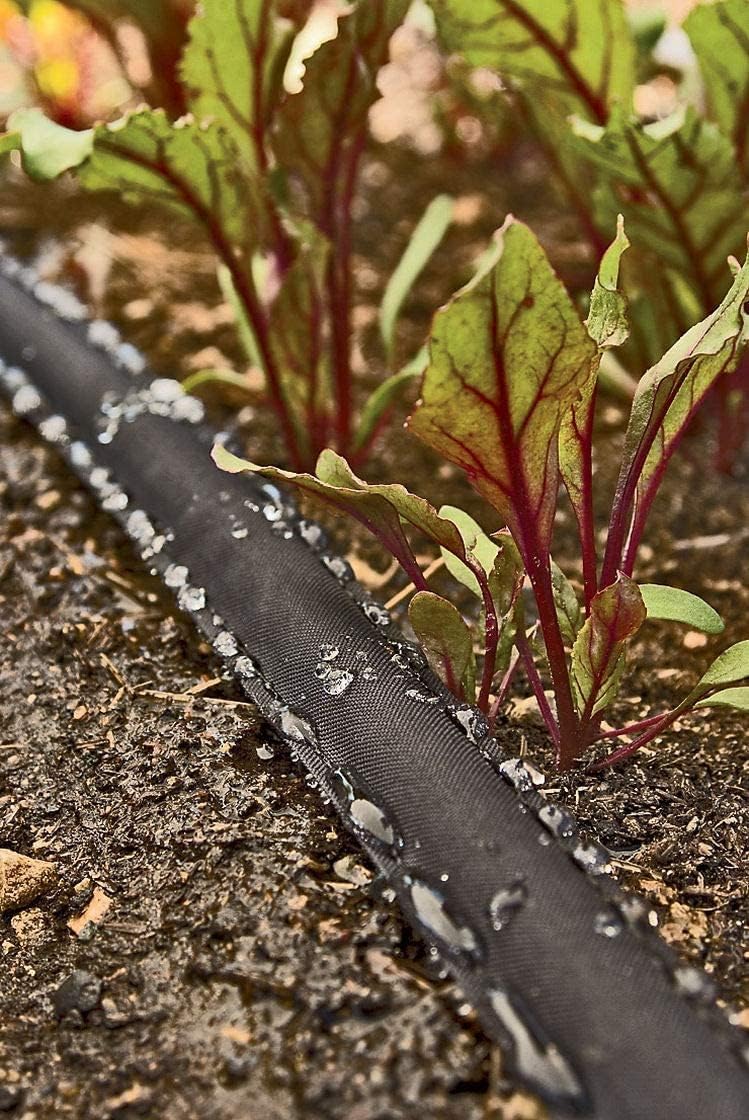 Rocky Mountain Goods 50 Foot Flat Weeper Soaker Hose (Pack of 2) - Drip Irrigation - Double Layer Design - Saves 70%