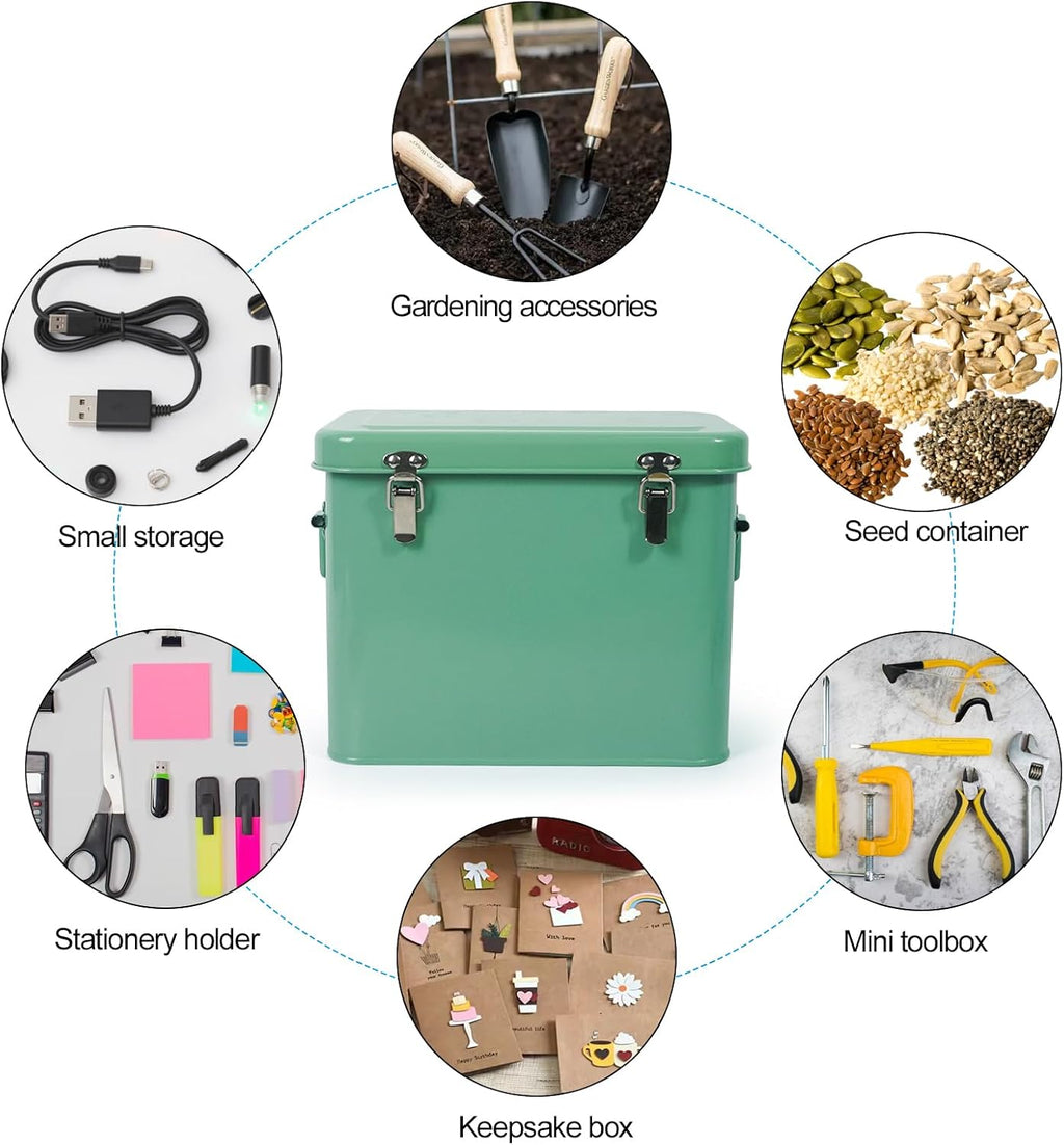 Luwint Seed Storage Organizer, Metal Saving Box Container with Removable Tray, Small Storage Box with Lid for Seeds