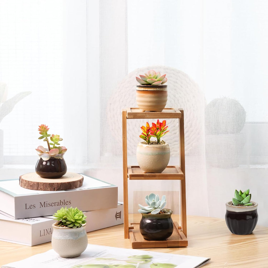 T4U Small Ceramic Succulent Pots with Drainage - Set of 12, Mini Pots for Plants, Home and Office Decor, Plant Lover