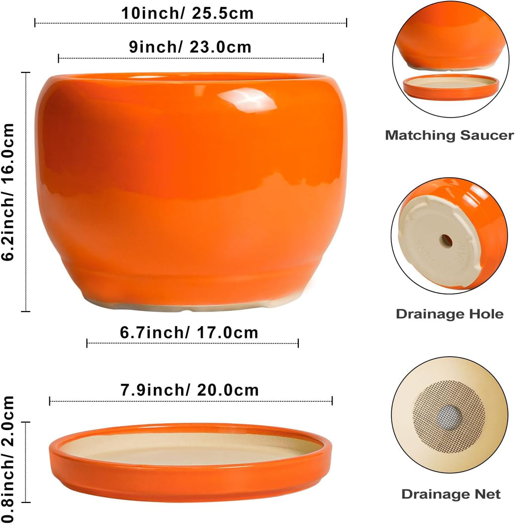 SQOWL Ceramic Planter - 10 Inch Plant Pot with Drainage Hole and Saucer, Round Modern Planter for Indoor Outdoor
