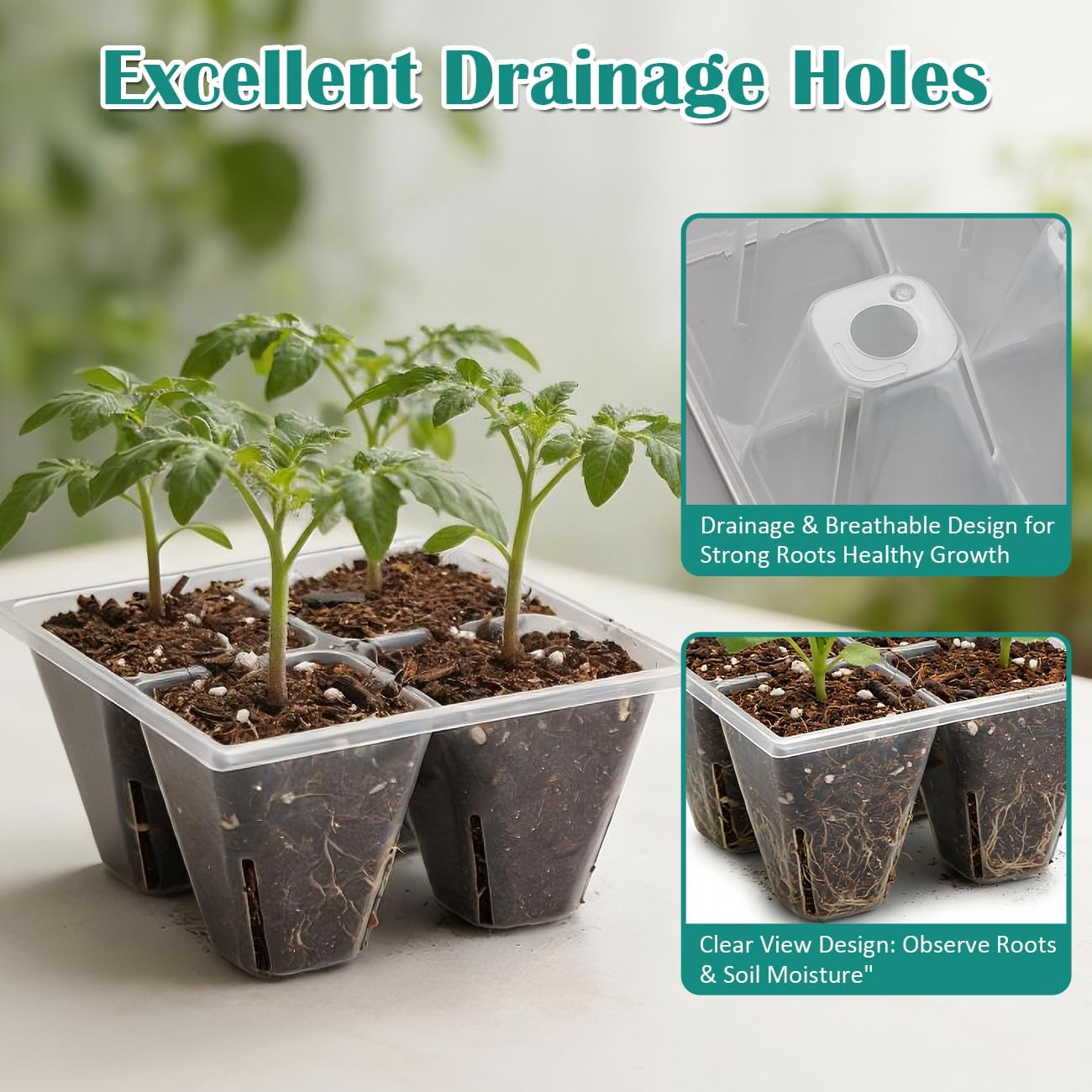 RooTrimmer 40 Pack Reusable 4-Cell Seed Starter Trays with Large Drainage Holes - Clear Transparent Trays for Root