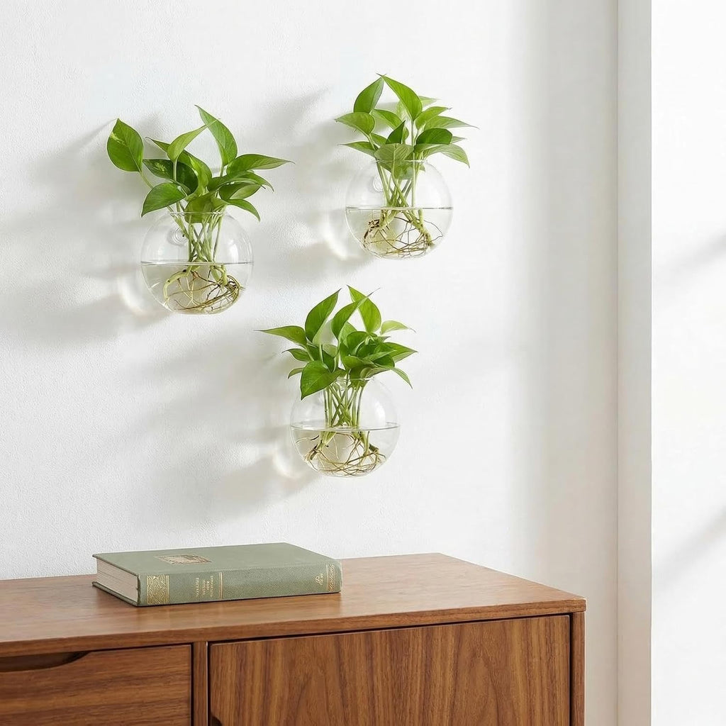 6 Pack Wall Hanging Planters Terrarium, 4.7 Inch Glass Oblate Globe Plants Containers, Wall Mount Clear Flower Vase for
