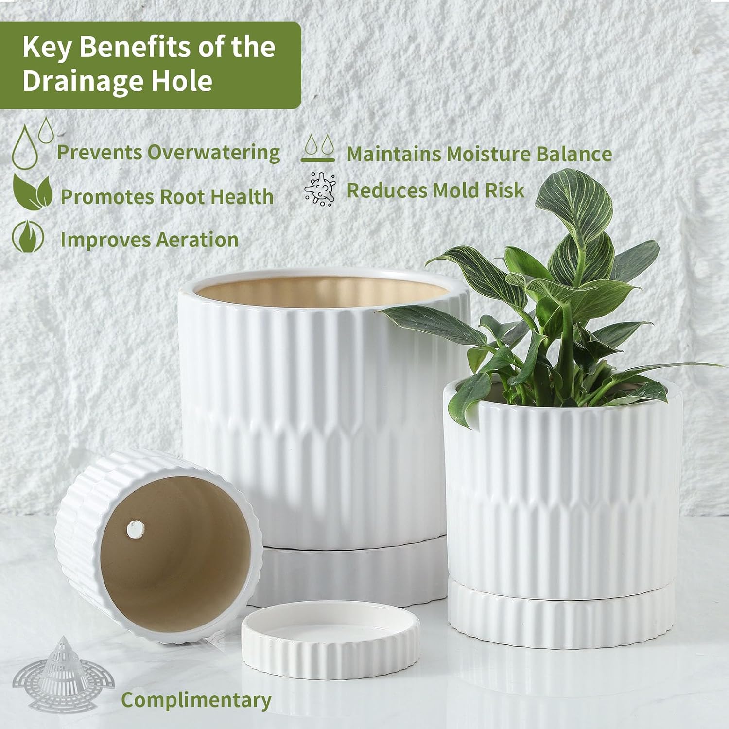HASENSE Plant Pots - 8+6+4.6 Inch White Vertical Textured Ceramic Planters Set of 3 with Drainage Hole, Decorative