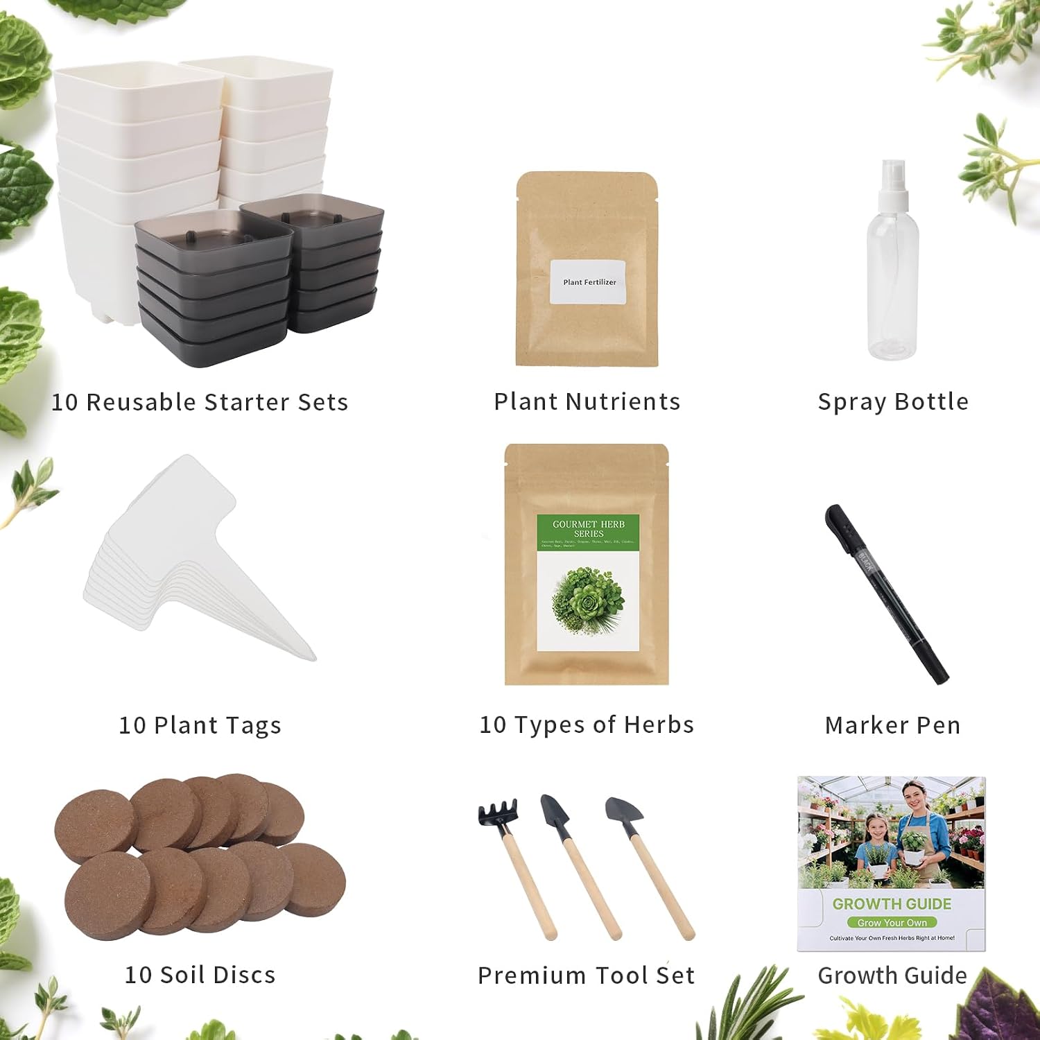 Indoor Herb Garden Starter Kit, 10 Non-GMO Herb Seeds for Basil, Parsley, Thyme, Mint, Cilantro, Dill, Oregano, Chives