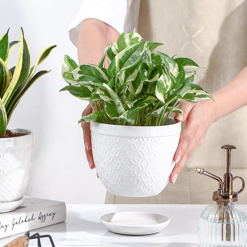 Sureasy Ceramic Indoor Plant Pots - 5.6 Inch Flower Pots for Plants with Drainage Hole and Saucer, Embossed Planter for