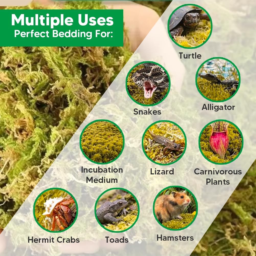 Natural Long Fiber Sphagnum Moss 42QT for Orchid Potting Mix, and Moss Pole for Plants Indoor. Ideal for Propagating