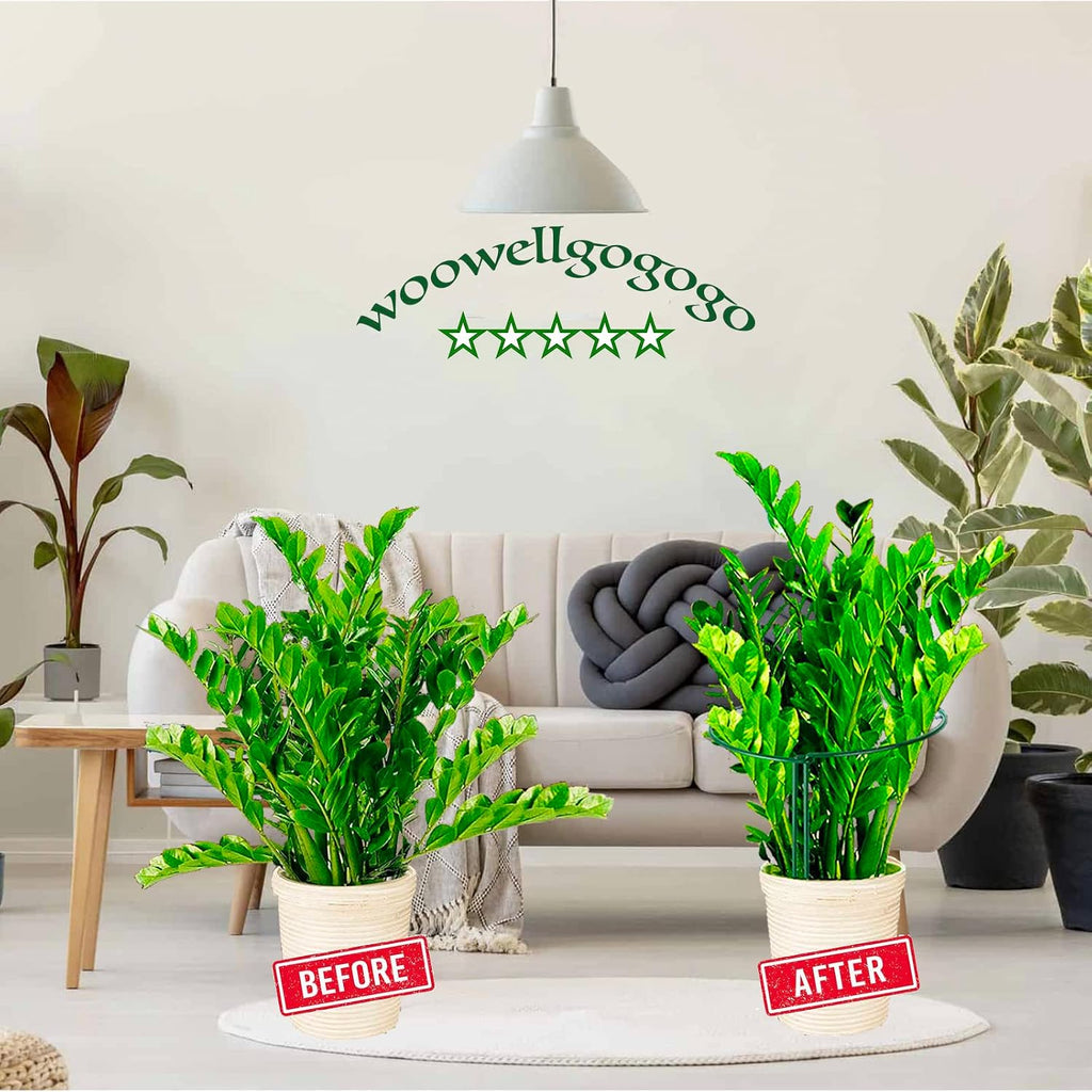 10-Pack Half Round Snake Plant Support Stakes, Plant Support Ring for Hydrangea, Peony, Dahlia and More, Rust-Proof