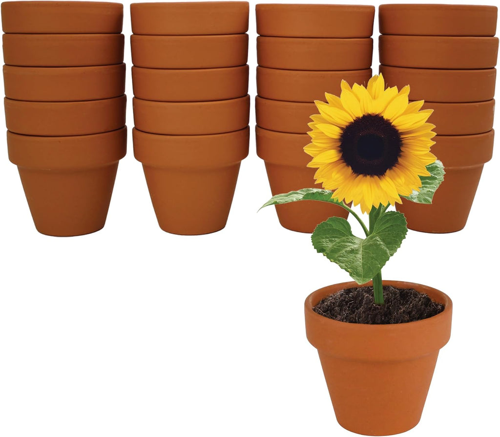 BUZZY Seeds Sunflower Grow Kit, Bulk 20-Pack - Mini Terracotta Pot Grow Set - Complete Indoor/Outdoor Gardening Kit