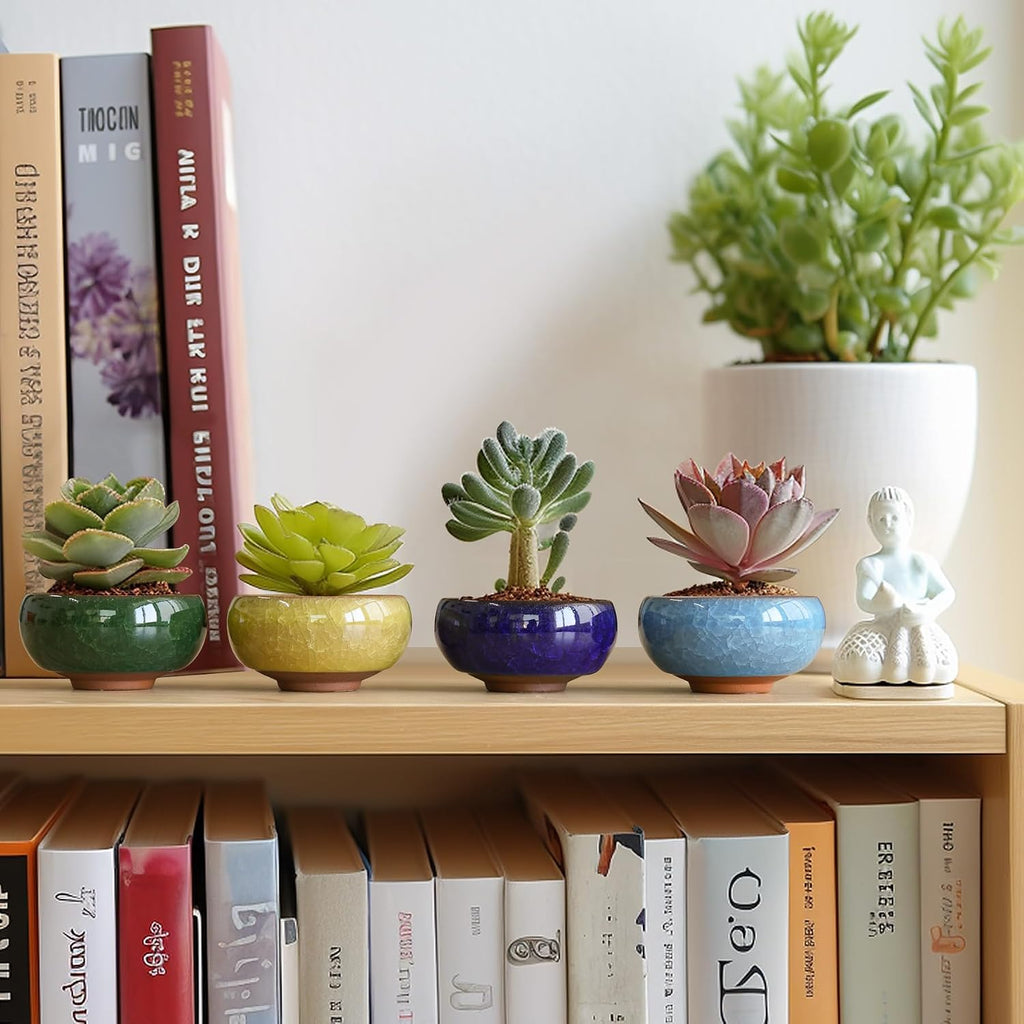 T4U 2.5 Inch Small Ceramic Succulent Planter Pot with Drainage Hole Set of 12, Ice Crack Glaze Plant Container for